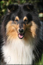 Jasper von den Reth&ouml;rnchen